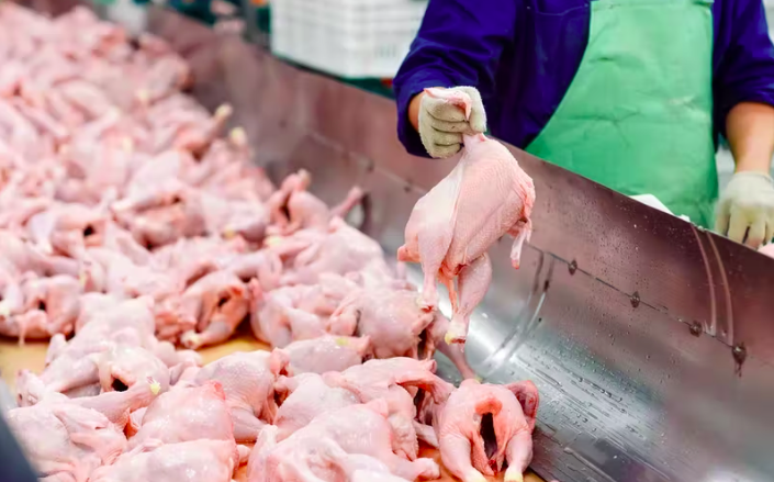 通过溶气气浮机来提升肉类和家禽加工中的污水回用