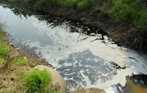 农村生活污水处理方法、流程有哪些？