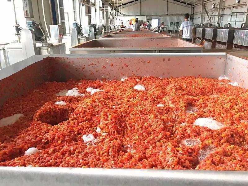 番茄食品生产加工废水处理设备_厂家
